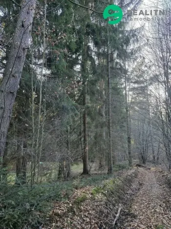 Prodej lesa, Vsetín, Semetín, 96946 m2