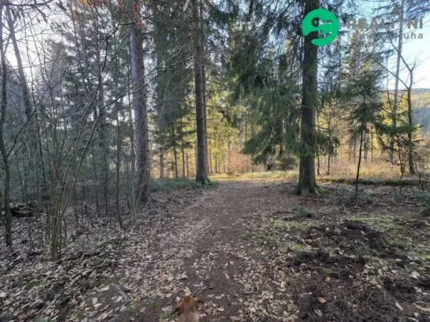 Prodej lesa, Vsetín, Semetín, 96946 m2