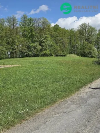 Prodej lesa, Vsetín, Semetín, 96946 m2