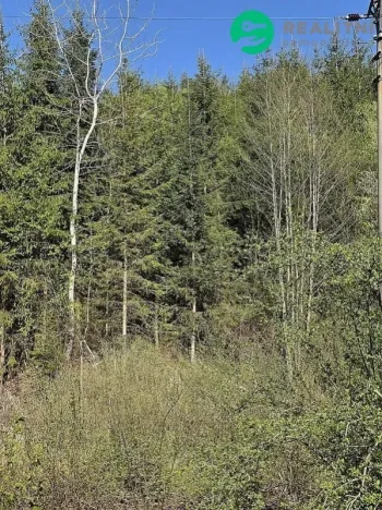 Prodej lesa, Vsetín, Semetín, 96946 m2