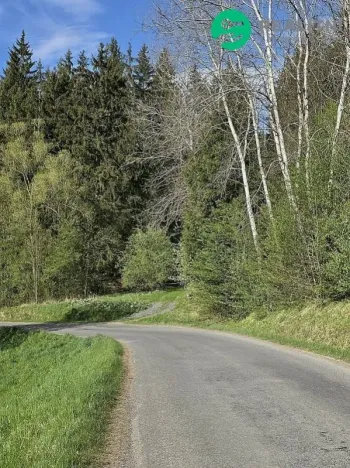Prodej lesa, Vsetín, Semetín, 96946 m2
