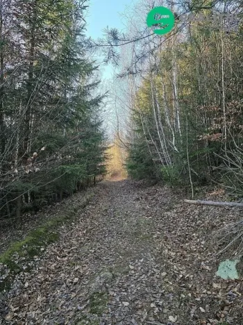 Prodej lesa, Vsetín, Semetín, 96946 m2