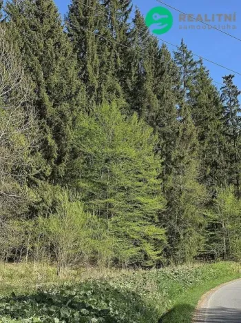 Prodej lesa, Vsetín, Semetín, 96946 m2