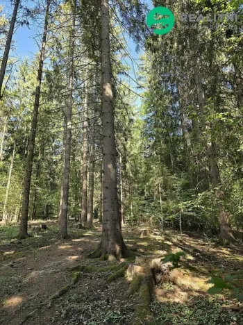 Prodej lesa, Vsetín, Semetín, 96946 m2