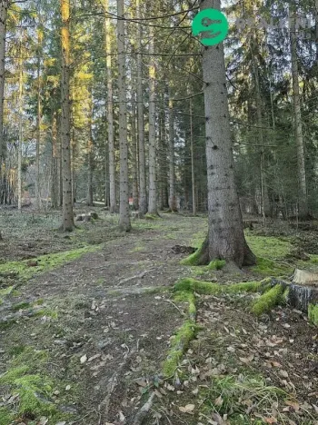 Prodej lesa, Vsetín, Semetín, 96946 m2