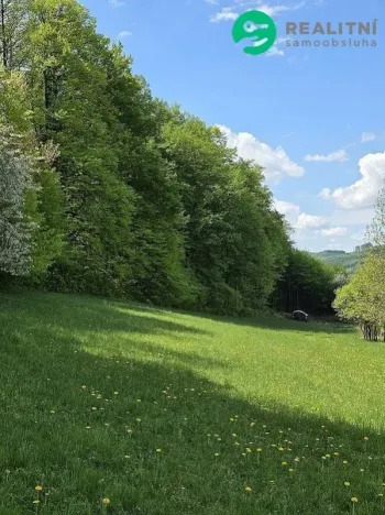 Prodej lesa, Vsetín, Semetín, 96946 m2
