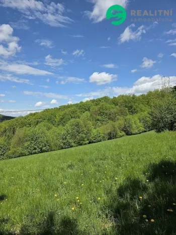Prodej lesa, Vsetín, Semetín, 96946 m2