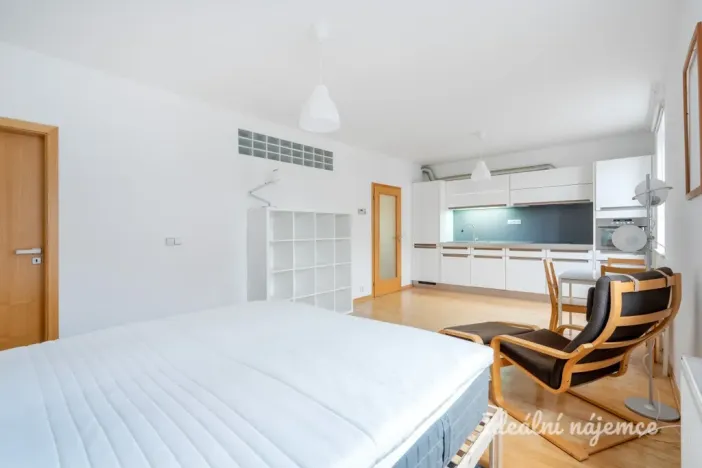 Pronájem bytu 1+kk, Praha - Vinohrady, Lucemburská, 40 m2