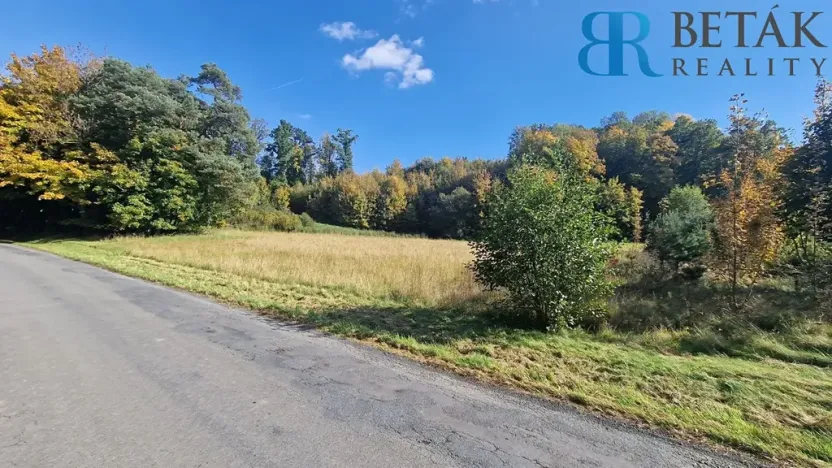 Prodej pozemku pro bydlení, Přerov, 14217 m2