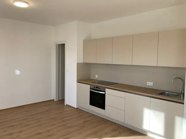 Pronájem bytu 2+kk, Praha - Žižkov, Na rovnosti, 52 m2