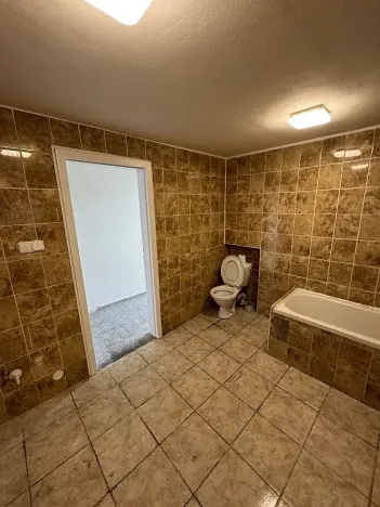 Prodej rodinného domu, Děčín, Riegrova, 250 m2