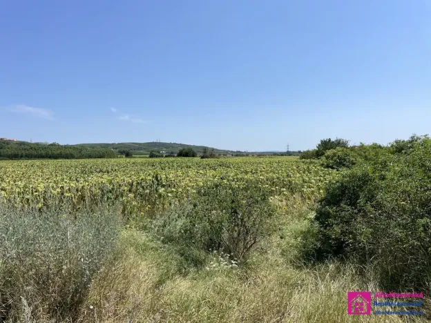 Prodej sadu/vinice, Přítluky - Nové Mlýny, 17804 m2