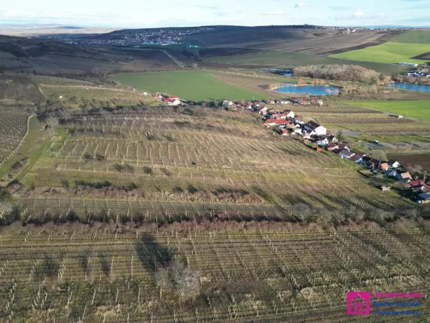 Prodej sadu/vinice, Bořetice, 2567 m2