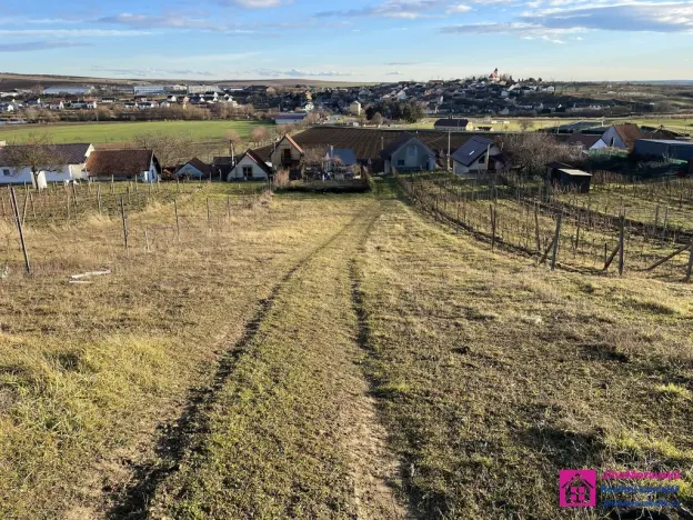 Prodej sadu/vinice, Bořetice, 2567 m2