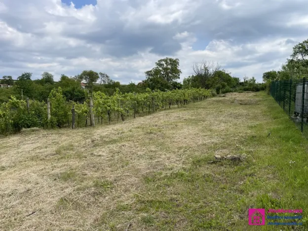 Prodej zahrady, Mikulov, 935 m2