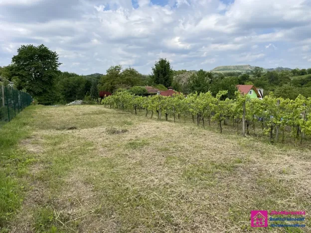 Prodej zahrady, Mikulov, 935 m2