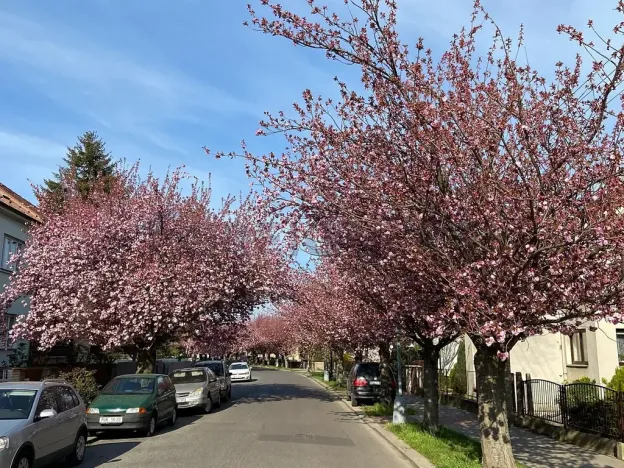 Pronájem bytu 2+kk, Pardubice, Wintrova II, 60 m2