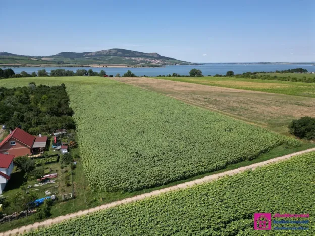 Prodej pozemku pro bydlení, Přítluky - Nové Mlýny, 9500 m2