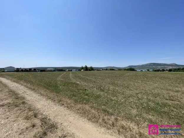 Prodej pozemku pro bydlení, Přítluky - Nové Mlýny, 9500 m2