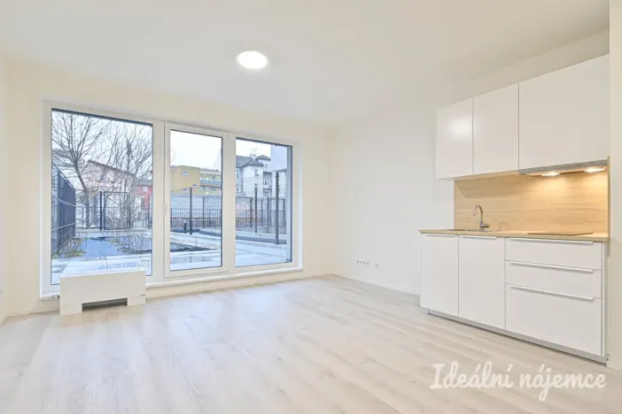 Pronájem bytu 1+kk, Brno, Dornych, 30 m2