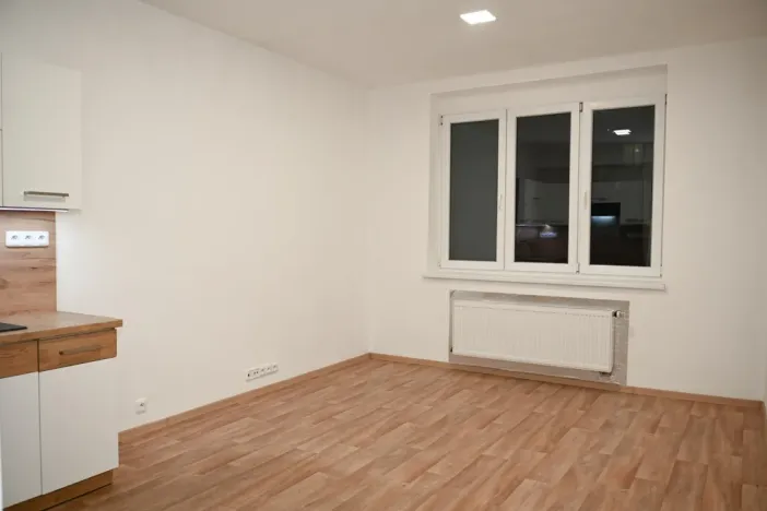 Pronájem bytu 2+kk, Praha - Nusle, Družstevní, 45 m2