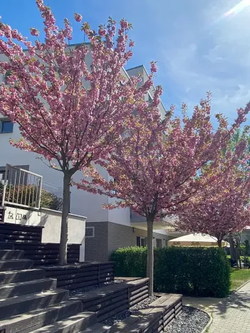 Prodej bytu 2+kk, Praha - Hloubětín, Krylovecká, 55 m2