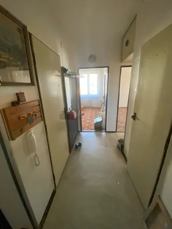 Prodej bytu 2+1, Brno, Plevova, 58 m2