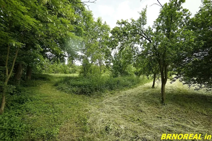 Prodej zahrady, Rousínov, 940 m2