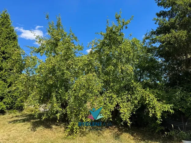 Prodej zahrady, Teplice, Kopřivová, 400 m2