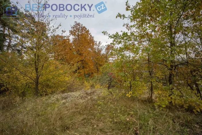 Prodej pozemku pro bydlení, Baliny, 1962 m2