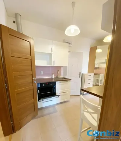 Pronájem bytu 2+1, Praha - Holešovice, U Uranie, 52 m2