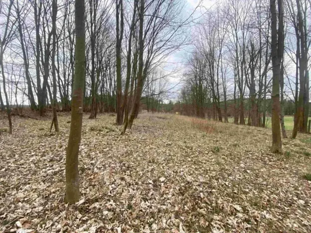 Dražba louky, Žinkovy, 4100 m2