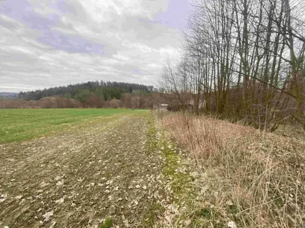 Dražba louky, Žinkovy, 4100 m2