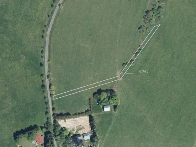 Dražba louky, Říčky v Orlických horách, 1426 m2