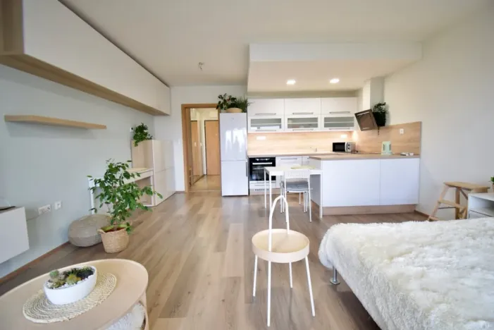 Pronájem bytu 1+kk, Olomouc - Povel, Slavonínská, 41 m2