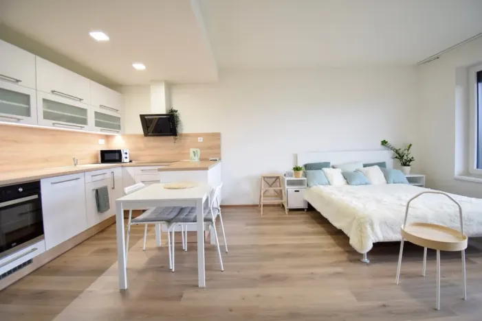 Pronájem bytu 1+kk, Olomouc - Povel, Slavonínská, 41 m2