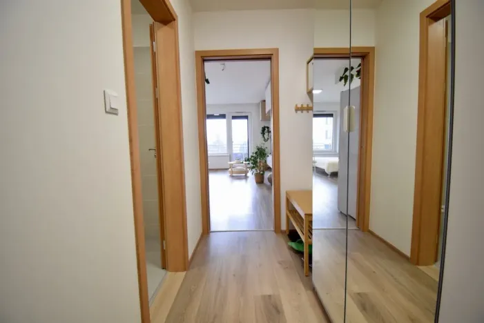 Pronájem bytu 1+kk, Olomouc - Povel, Slavonínská, 41 m2
