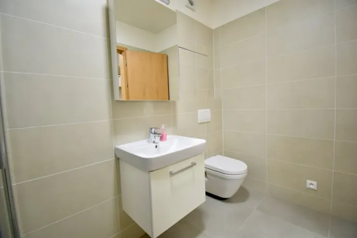 Pronájem bytu 1+kk, Olomouc - Povel, Slavonínská, 41 m2