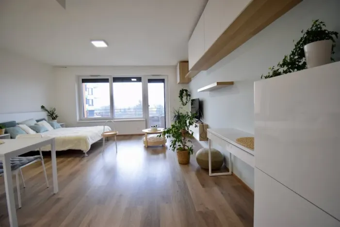 Pronájem bytu 1+kk, Olomouc - Povel, Slavonínská, 41 m2