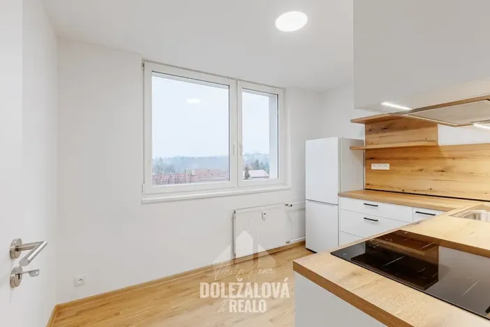 Pronájem bytu 1+1, Malý Beranov, 46 m2