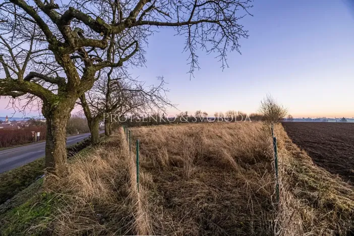 Prodej zahrady, Chotěboř, Hromádky z Jistebnice, 5327 m2
