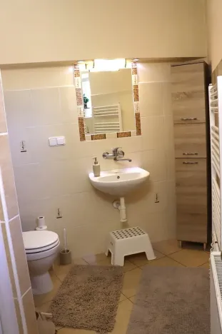 Prodej rodinného domu, Prušánky, 261 m2