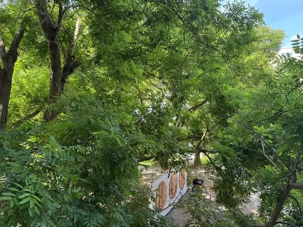 Prodej bytu 4+1, Brno, Strnadova, 80 m2