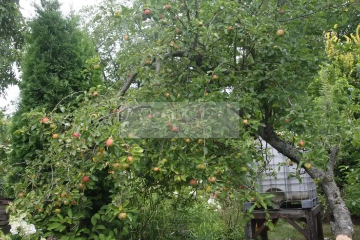 Prodej chaty, Čáslav, 45 m2