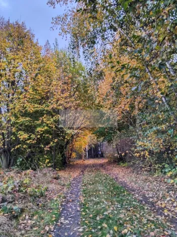 Prodej chaty, Čáslav, 45 m2