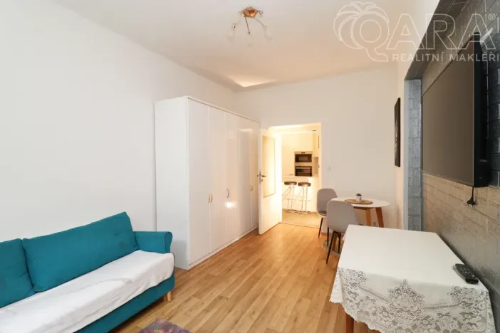 Pronájem bytu 2+1, Praha, Vrchlického, 50 m2