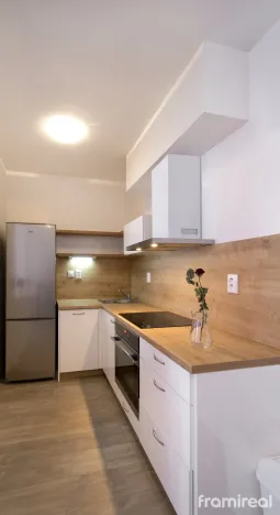 Pronájem bytu 1+kk, Brno, Gajdošova, 46 m2