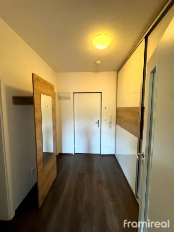 Pronájem bytu 1+kk, Brno, Gajdošova, 46 m2