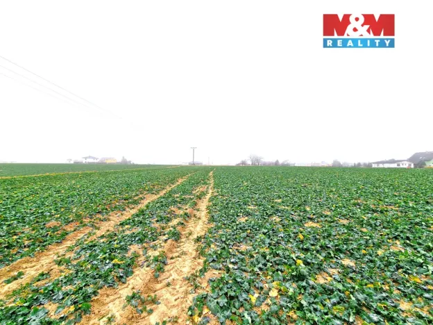 Prodej pozemku pro bydlení, Štěpánkovice, 5343 m2