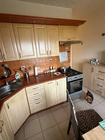 Prodej bytu 2+1, Jirkov, Na Borku, 62 m2